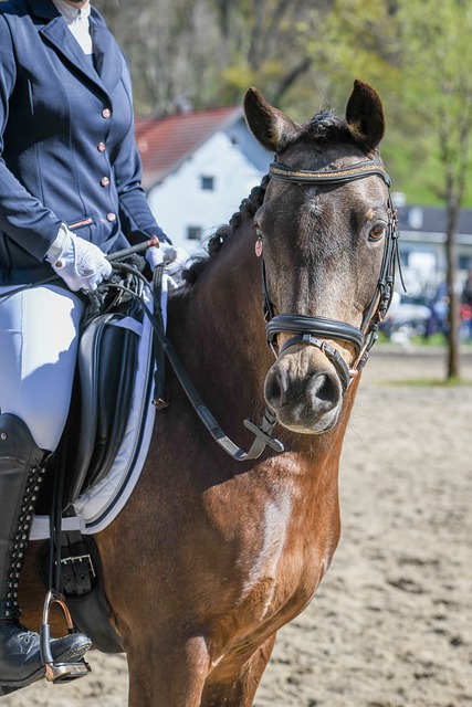 时机驾驶无 时机驾驶无