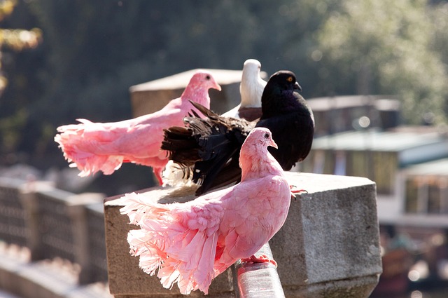 也反映了赛 也反映了赛