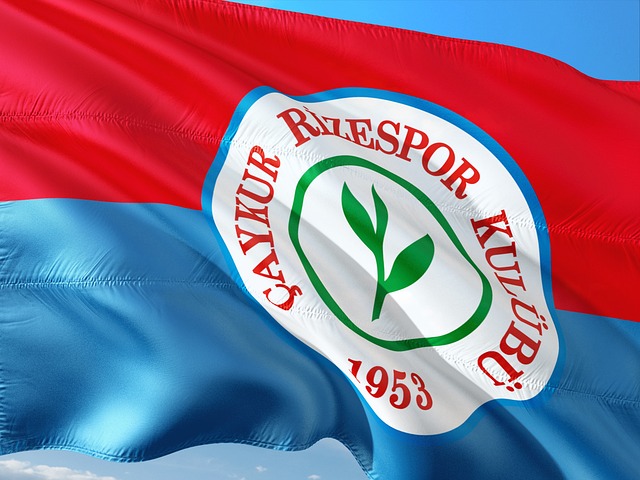 迪三人表现 迪三人表现