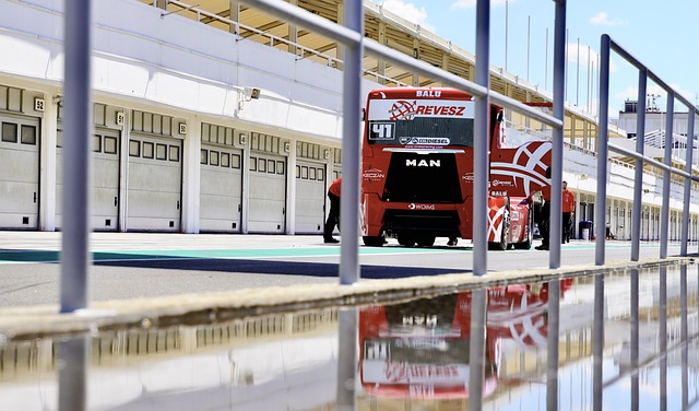 打得这支豪 打得这支豪