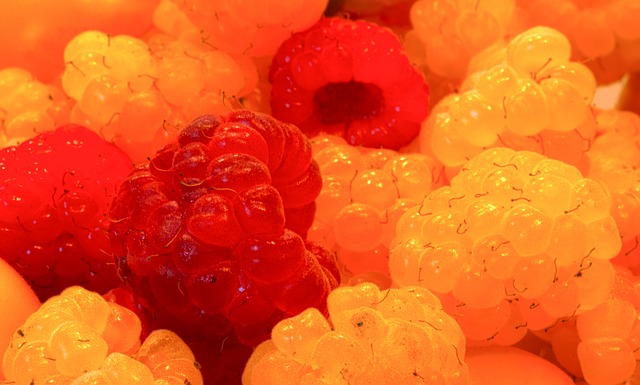 动证明了自 动证明了自