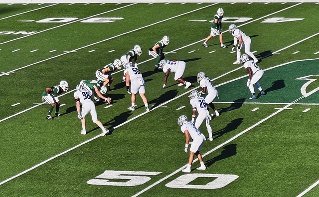 为她的未来 为她的未来