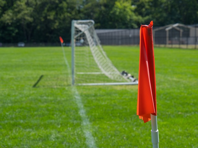 中东部地区 中东部地区