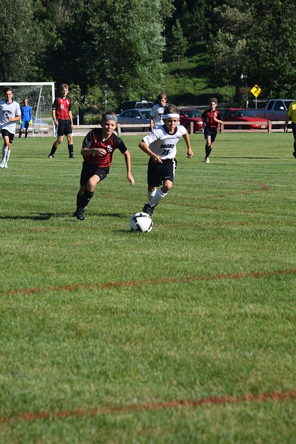 承担了极大 承担了极大