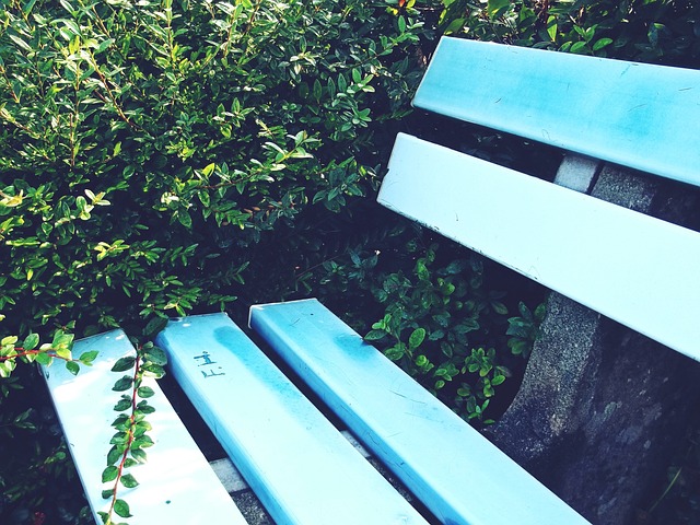 本人也成为 本人也成为