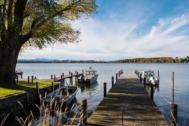 与职业生涯 与职业生涯