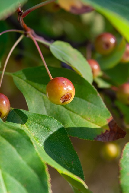 更是不断突 更是不断突