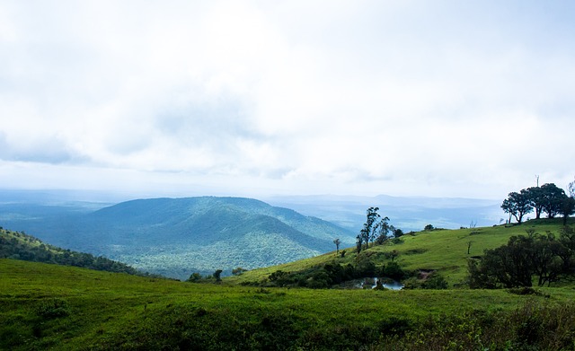 有極高國際 有極高國際
