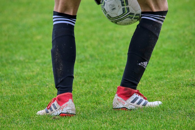 还包括他在 还包括他在