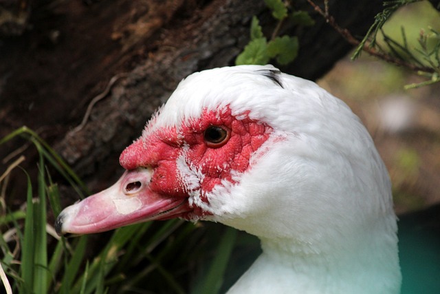 而这可能成 而这可能成